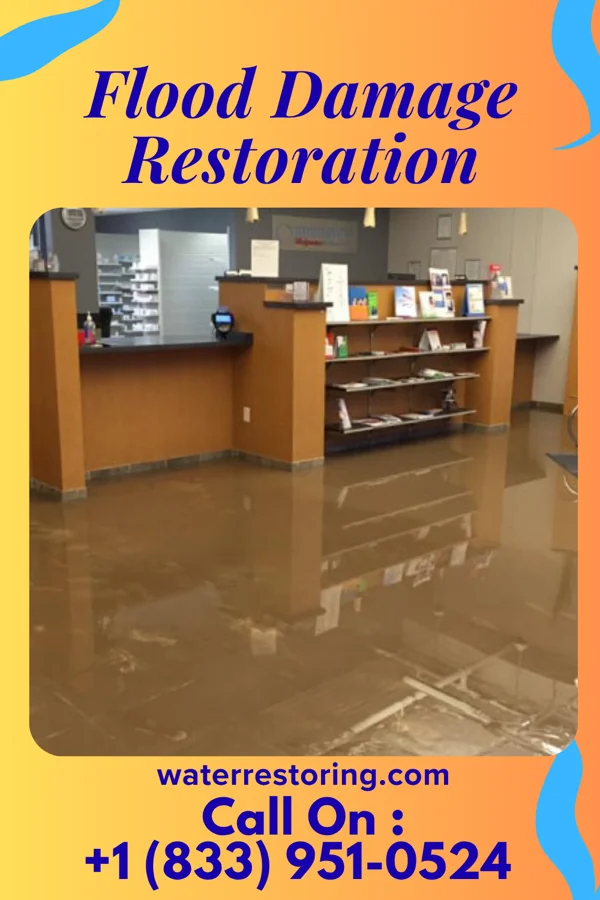 Flood Damage Restoration in Markham, IL
