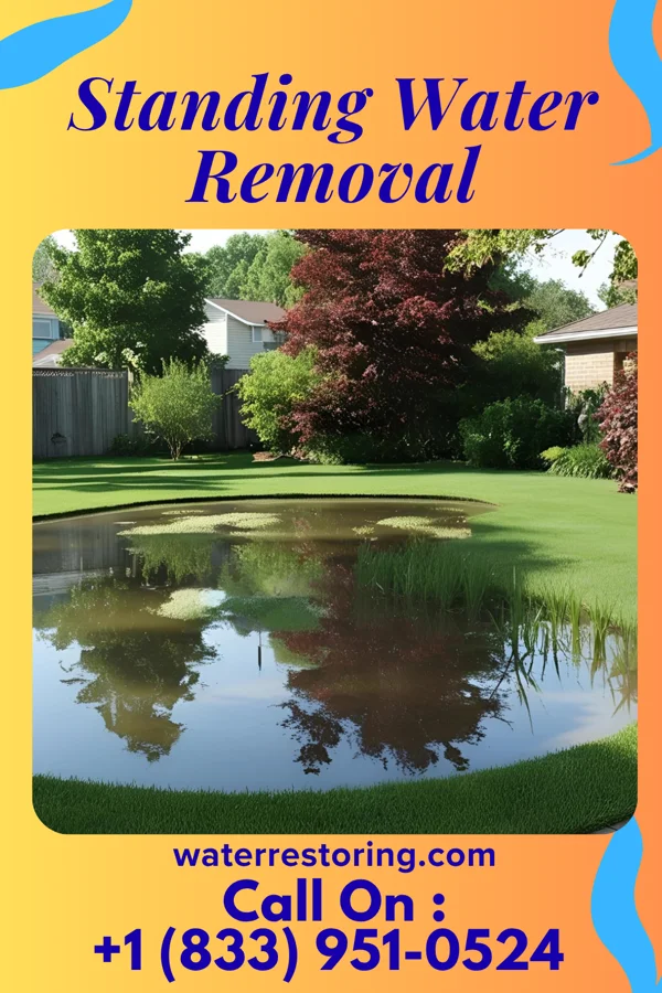 Standing Water Removal in Markham, IL